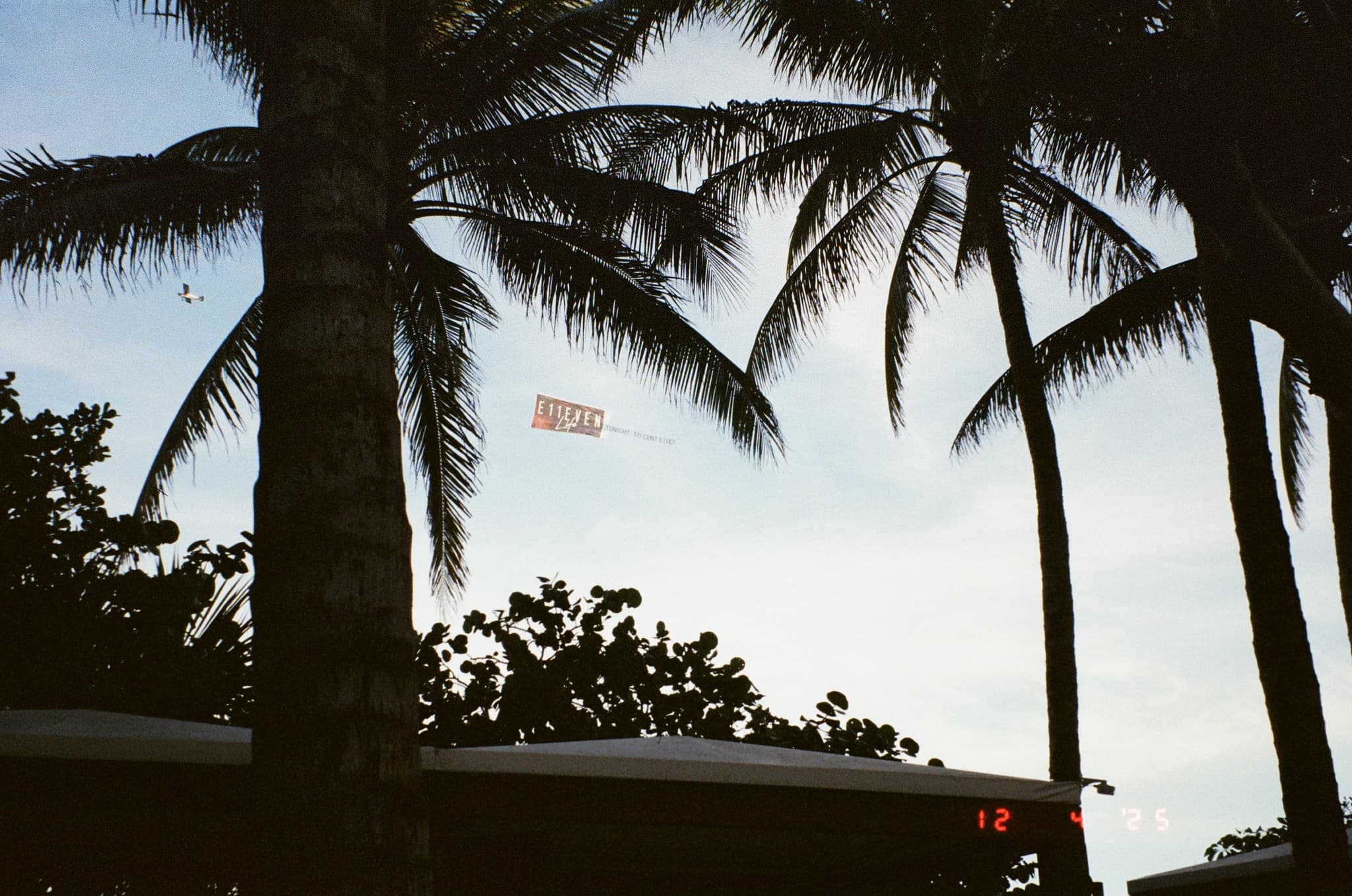 Miami Art Basel - Photo 5