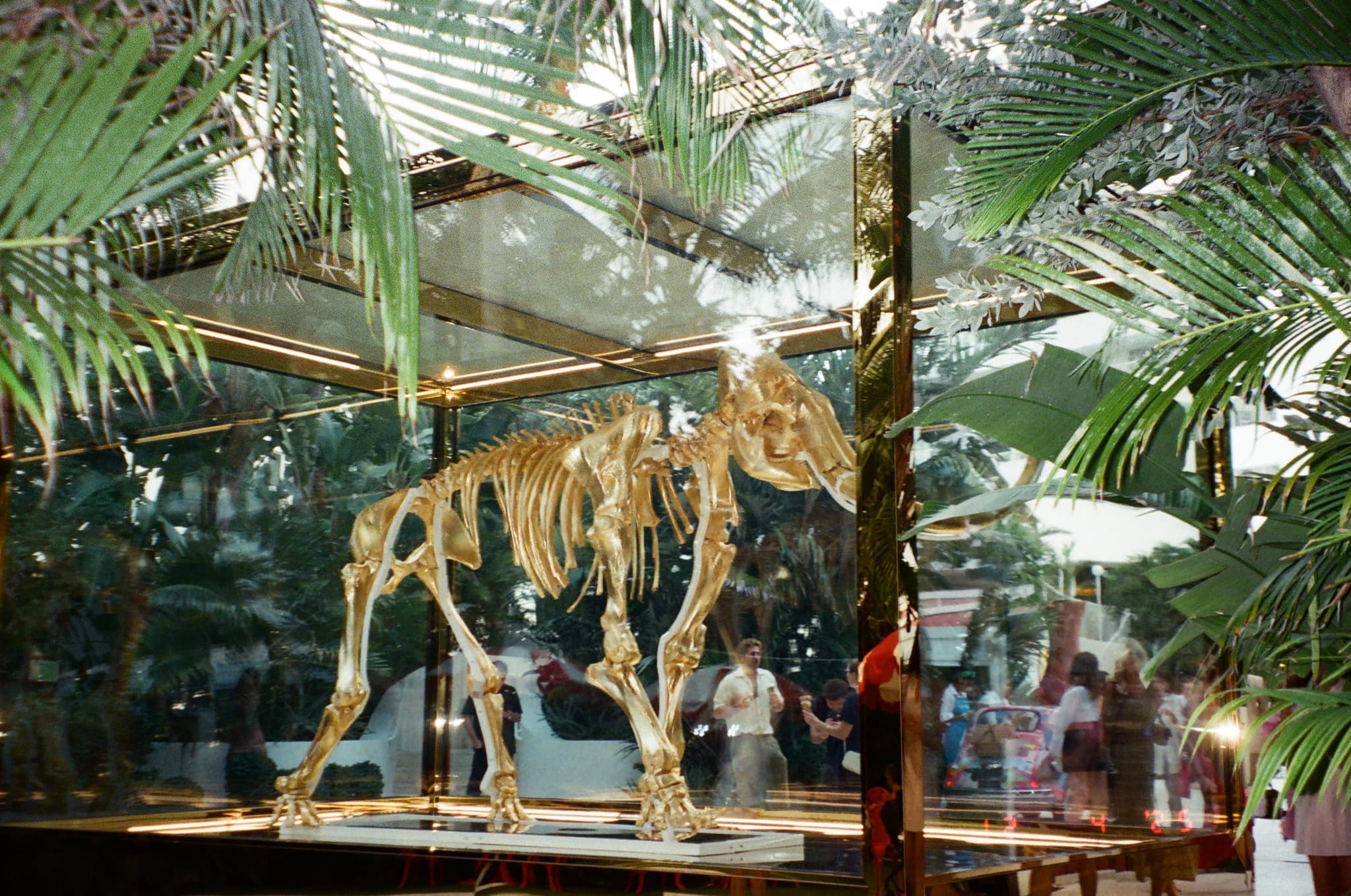 Miami Art Basel - Photo 10